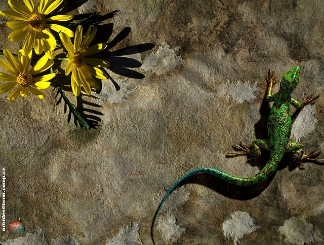 Iguana&Flowers.jpg