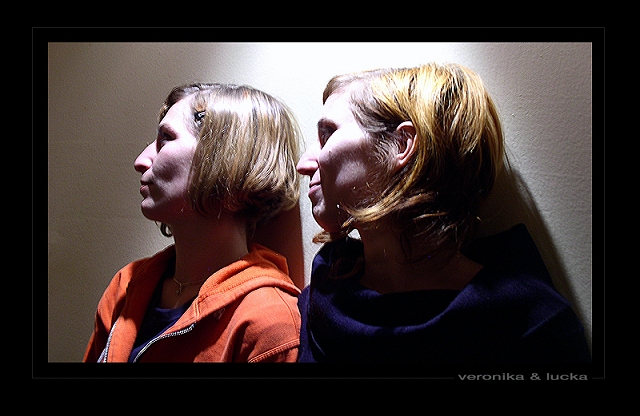 v&l.jpg